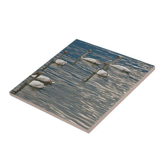 スワンソング タイル (側面)