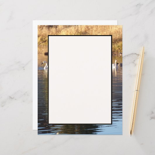 スワンダック文房具シート (正面/裏面インサイチュ)