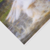 スワンティッシュペーパー 薄葉紙 (詳細)