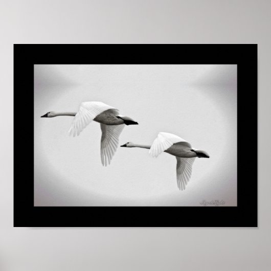 スワンデュオ ポスター (正面)