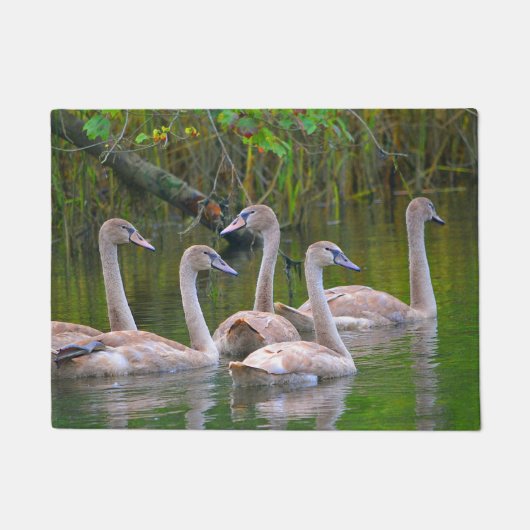 スワンドアマット ドアマット (正面)