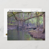 スワンニーリバーバックウォーター ポストカード (正面/裏面)