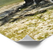 スワンニーリバービーチプリント ポスター (角)