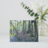 スワンニー川の枝 ポストカード (スタンド正面)