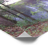 スワンネ川の下へ白い春Fl. ポスター (角)