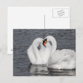 スワンハート ポストカード (正面/裏面)