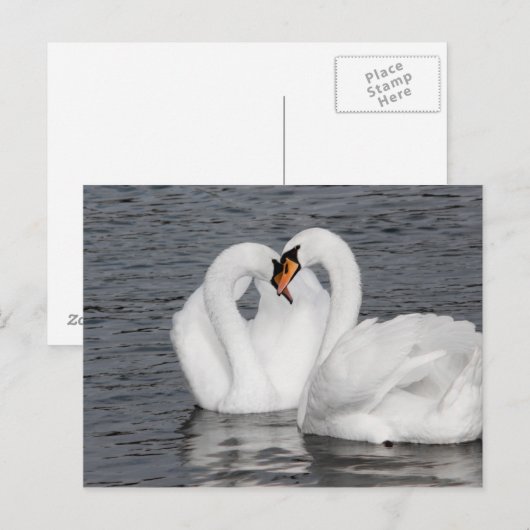 スワンハート ポストカード (正面/裏面)