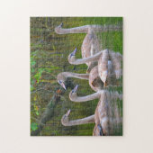 スワンパズル ジグソーパズル (縦)