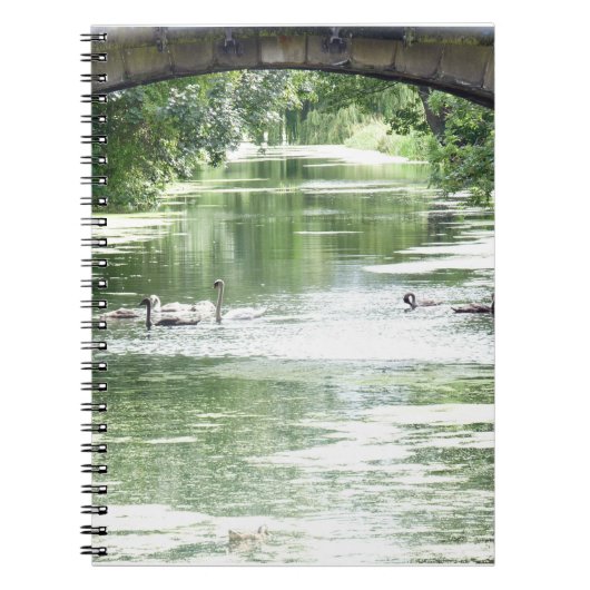 スワンファミリーオンリバー ノートブック (正面)