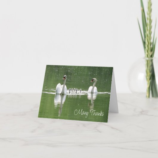 スワンファミリー写真サンキューカード サンキューカード (正面)