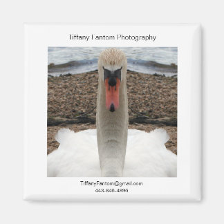 スワンプロモピース マグネット