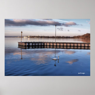 スワンマディソンウィスコンシン ポスター