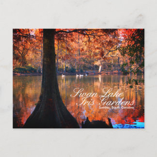 スワンレイクアイリスガーデンズハガキ ポストカード