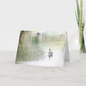 スワンレイク カード (正面)