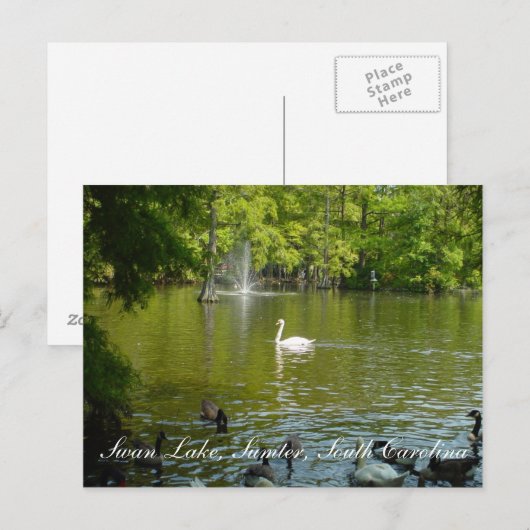 スワンレイク ポストカード (正面/裏面)