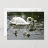 スワンレイク ポストカード (正面/裏面)