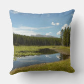 スワンレイクIアットグランドテトン国立公園 クッション (裏面)