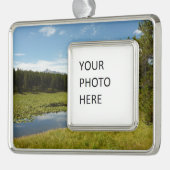 スワンレイクIアットグランドテトン国立公園 シルバープレートフレームオーナメント (左)