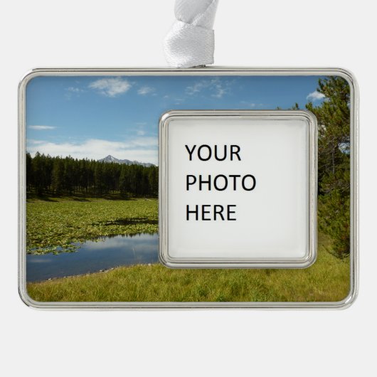 スワンレイクIアットグランドテトン国立公園 シルバープレートフレームオーナメント (正面)