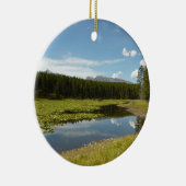 スワンレイクIアットグランドテトン国立公園 セラミックオーナメント (右)