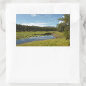 スワンレイクIアットグランドテトン国立公園 長方形シール (バッグ)