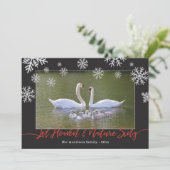 スワンレット天国&自然シン (スタンド正面)