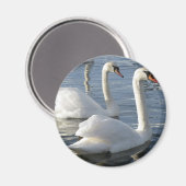 スワン反射磁石 マグネット (正面/裏面)