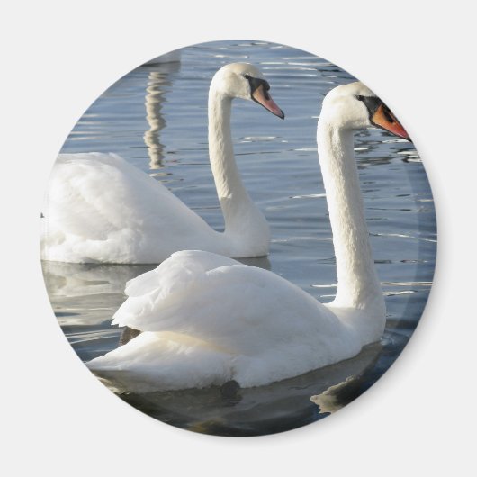 スワン反射磁石 マグネット (正面)