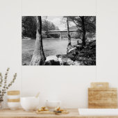 スワン橋 ポスター (キッチン)