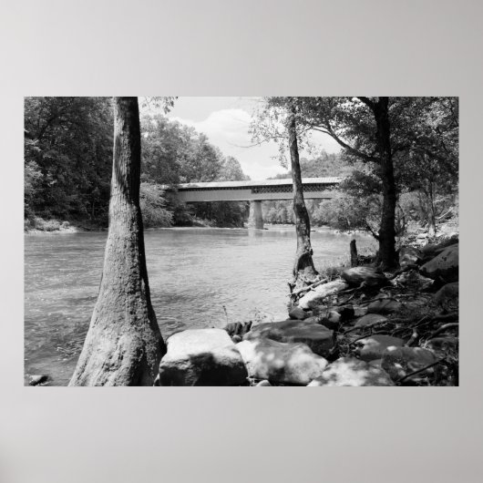 スワン橋 ポスター (正面)