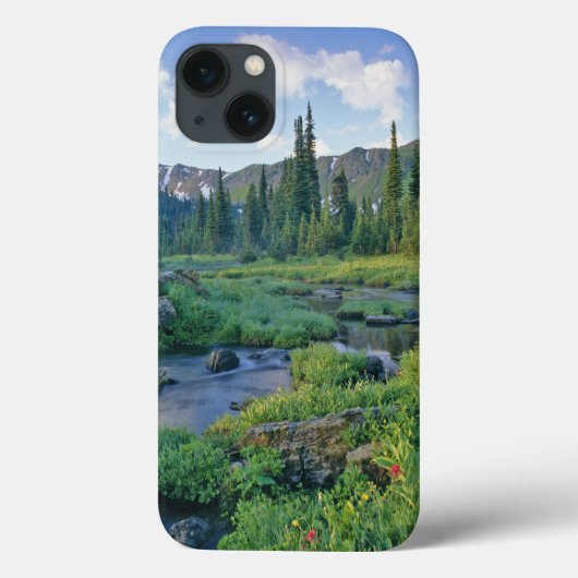 スワン渓谷ジュエル・ベイジンのピクニック・クリーク Case-Mate iPhoneケース (裏面)