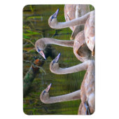 スワン磁石 マグネット (縦)