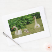 スワン科 長方形シール (封筒)