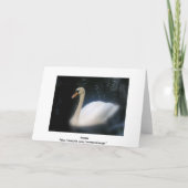 スワン誕生日カード カード (裏面)