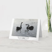 スワン語(ワイド縁どサ) カード (裏面)