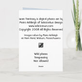 スワン領土 カード (裏面)