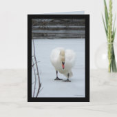 スワン領土 カード (正面)