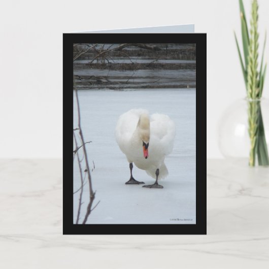 スワン領土 カード (正面)