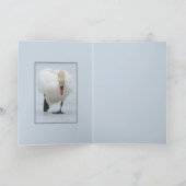 スワン領土 カード (内部)