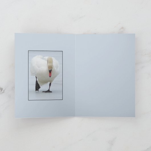 スワン領土 カード (内部)