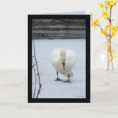 スワン領土 カード (黄色い花)