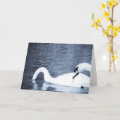 スワン食べ物を与えズの カード (黄色い花)