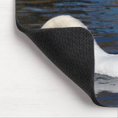 スワン食べ物を与えズの マウスパッド (コーナー)