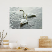 スワン食べ物を与えズの。ロースパークレイク,カーディフ,ウェールズ ポスター (キッチン)