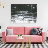 スワン食べ物を与えズ、ロアースパーク湖、カーディフ キャンバスプリント (インサイチュ (リビング))