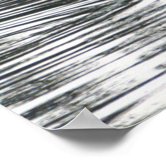 スワン食べ物を与えズ、ロアースパーク湖、カーディフ ポスター (角)