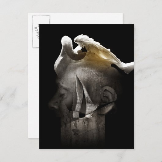 スワン2013 ポストカード (正面/裏面)