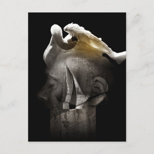 スワン2013 ポストカード (正面)