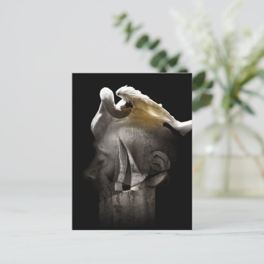 スワン2013 ポストカード (スタンド正面)