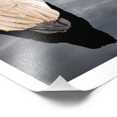 スワン・オン・レイク・カラーのポスター写真 フォトプリント            (角)